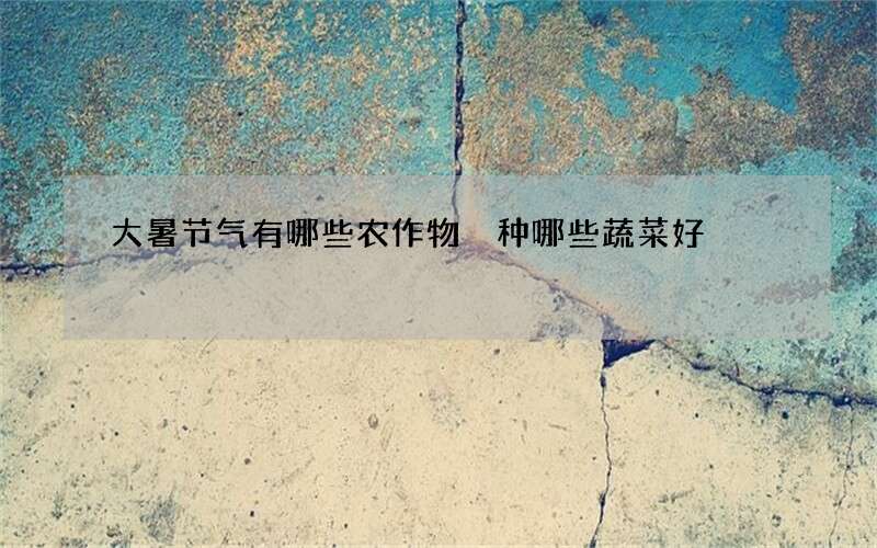 大暑节气有哪些农作物 种哪些蔬菜好